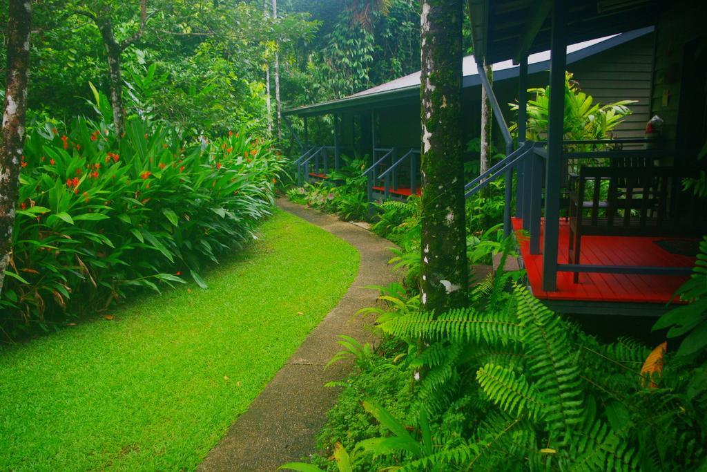 Heritage Lodge In The Daintree Cape Tribulation Exterior photo