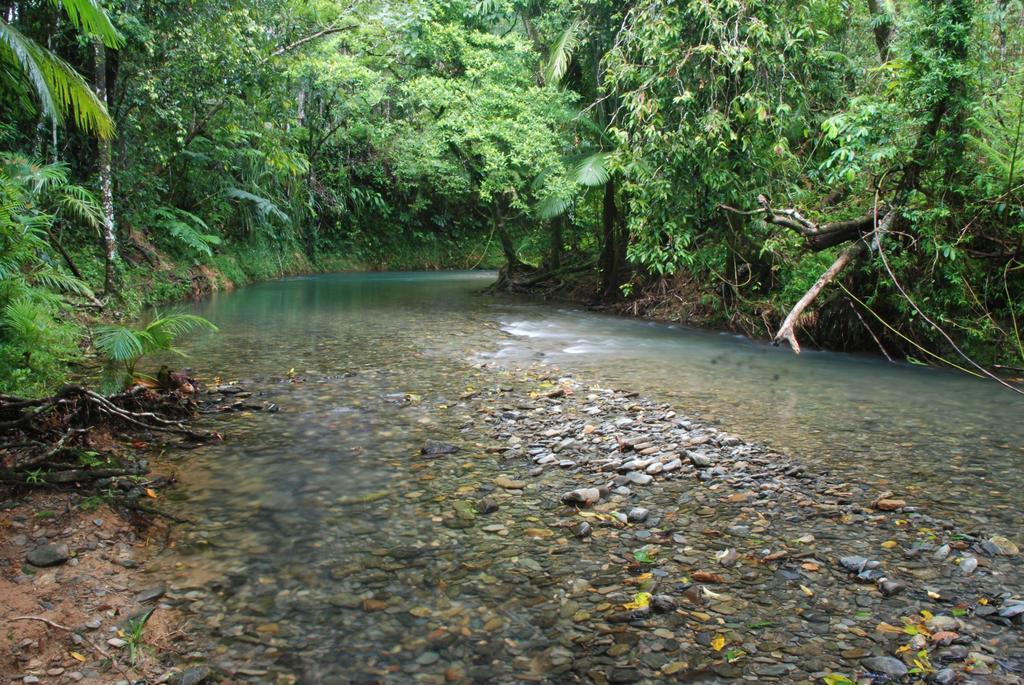 Heritage Lodge In The Daintree Cape Tribulation Exterior photo