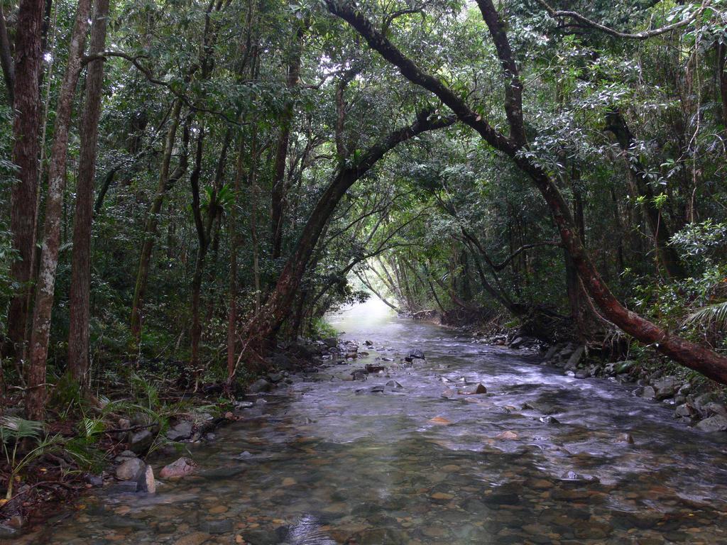 Heritage Lodge In The Daintree Cape Tribulation Exterior photo